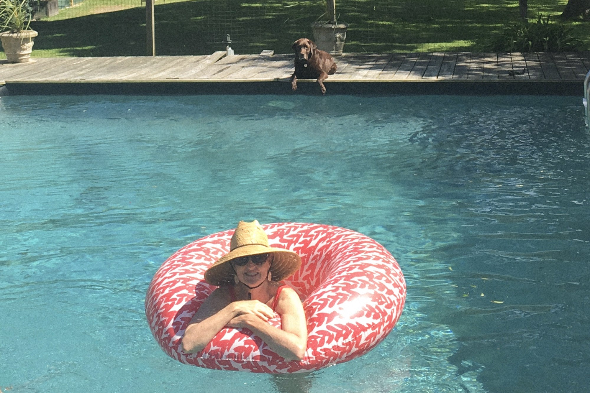 Elyce's Favorites – June