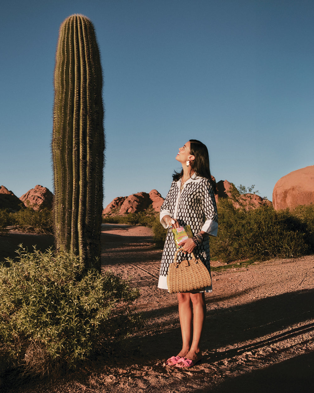 Tracey Mini Dress - Loop Print Navy Dresses Frances Valentine