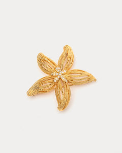 Gold Starfish Brooch - Frances Valentine