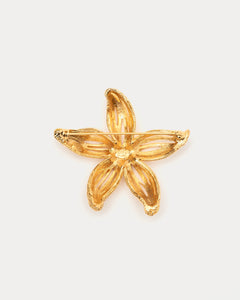Gold Starfish Brooch - Frances Valentine