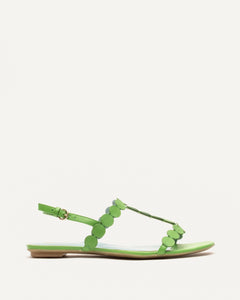 Kiki Mini Dot Flat Green - Frances Valentine